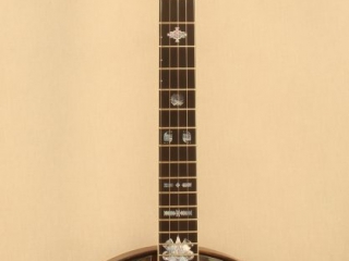 Gibson TB-2 Pyramid Tone Ring Banjo with Conversion Neck