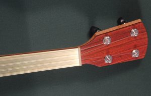 Custom banjo with brass fretless fingerboard