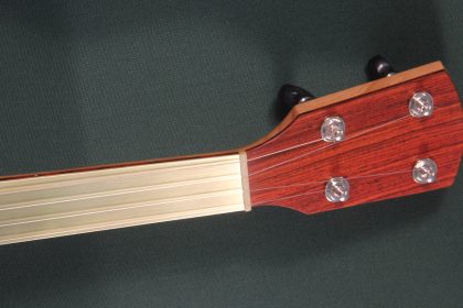 Custom banjo with brass fretless fingerboard