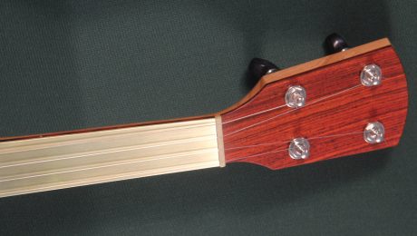 Custom banjo with brass fretless fingerboard