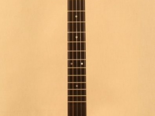 seeders-banjo-vega-conversion-neck-1