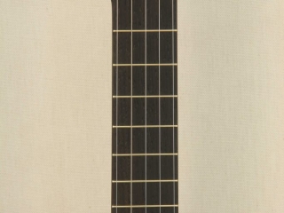 Custom Spunover Slothead Banjo Fretboard