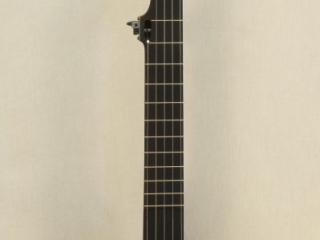Custom Spunover Slothead Banjo
