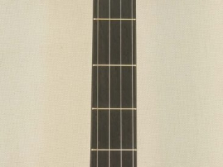 Custom Spunover Slothead Banjo