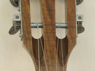 Custom Spunover Slothead Banjo with Claro Walnut