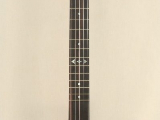 057 11 inch Dobson Special Banjo-1