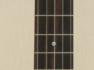 057 11 inch Dobson Special Banjo-5