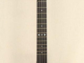 058 12 inch Dobson Special Banjo-1