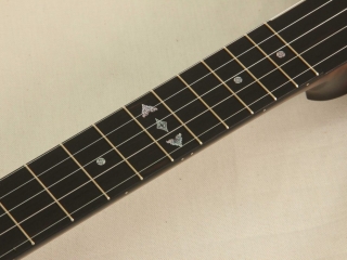 058 12 inch Dobson Special Banjo-16