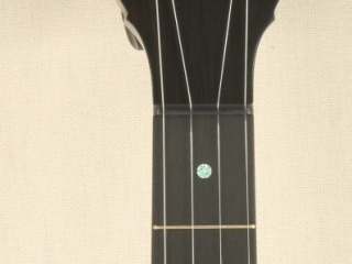 058 12 inch Dobson Special Banjo-2