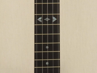 058 12 inch Dobson Special Banjo-4