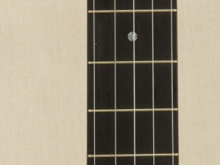 058 12 inch Dobson Special Banjo-5