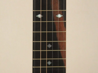 104 – 12 6 String Dobson Banjo-4