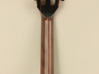 105 – Brass Clad Slothead Dobson Banjo-10
