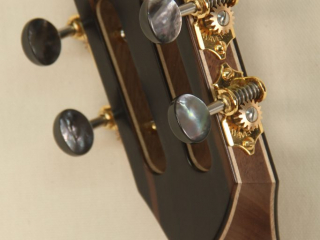 105 – Brass Clad Slothead Dobson Banjo-15