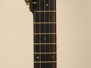 105 – Brass Clad Slothead Dobson Banjo-2-2