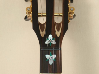 105 – Brass Clad Slothead Dobson Banjo-2