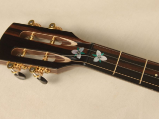 105 – Brass Clad Slothead Dobson Banjo-26