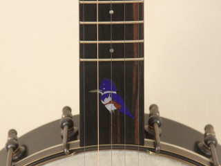 105 – Brass Clad Slothead Dobson Banjo-3-2