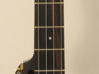 105 – Brass Clad Slothead Dobson Banjo-3