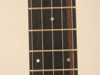 105 – Brass Clad Slothead Dobson Banjo-6