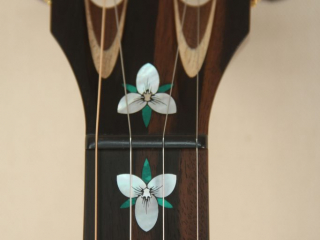 105 – Brass Clad Slothead Dobson Banjo-7-2