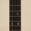 106 – 12 Figured Walnut Trickster Folklore Banjo-5