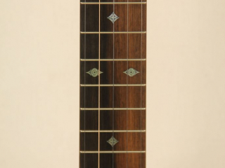 11 inch Cherry Dobson Special Banjo-5