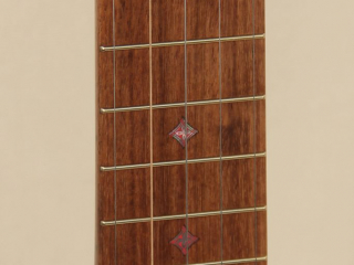 11 inch Curly Maple Whyte Laydie Banjo-12