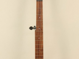 11 inch Curly Maple Whyte Laydie Banjo-5
