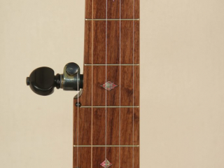 11 inch Curly Maple Whyte Laydie Banjo-6