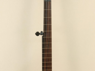 11 inch Walnut Rolled Brass Banjo-5