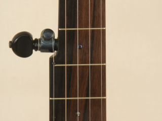 11 inch Walnut Rolled Brass Banjo-6