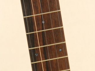 11 inch Walnut Rolled Brass Banjo-7