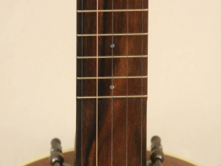 11 inch Walnut Rolled Brass Banjo-8