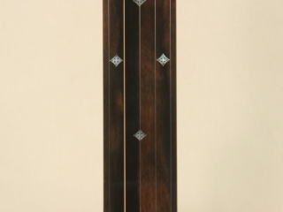 12 inch Fretless Dobson Special Banjo-5