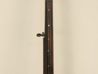 12 inch Fretless Dobson Special Banjo-6