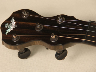 12 6 String Dobson Banjo-21