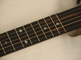 12 6 String Dobson Banjo-24