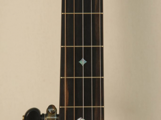 12 6 String Dobson Banjo-3