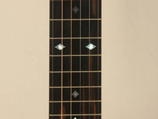 12 6 String Dobson Banjo-5