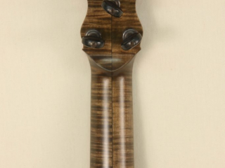 12 6 String Dobson Banjo-8