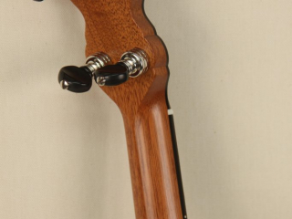 Grace Chubby Possum WA Cole Pony Banjo-15