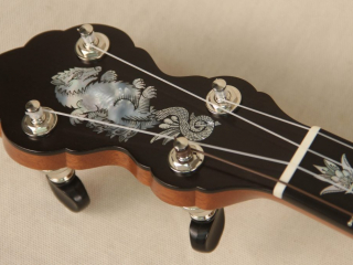 Grace Chubby Possum WA Cole Pony Banjo-20