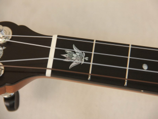 Grace Chubby Possum WA Cole Pony Banjo-22