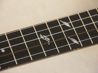 Grace Chubby Possum WA Cole Pony Banjo-23