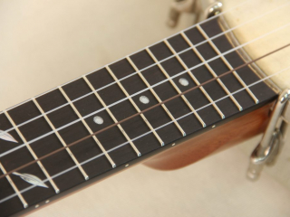 Grace Chubby Possum WA Cole Pony Banjo-24