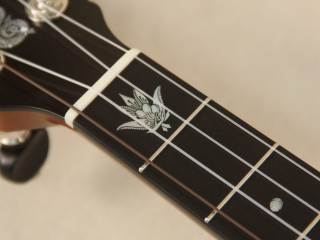 Grace Chubby Possum WA Cole Pony Banjo-25