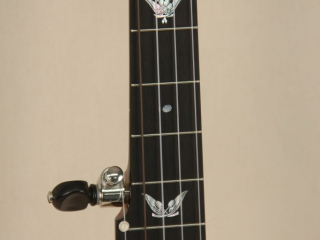 Grace Chubby Possum WA Cole Pony Banjo-4